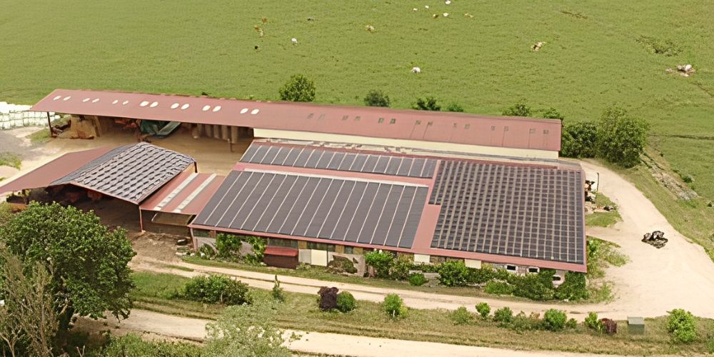 ferme avec panneaux solaires grand est